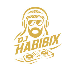 Get Busy (Sean Paul) X Habibi Nour El Ein (Amr Diab) DJ HabibiX Edit - for promotional use only