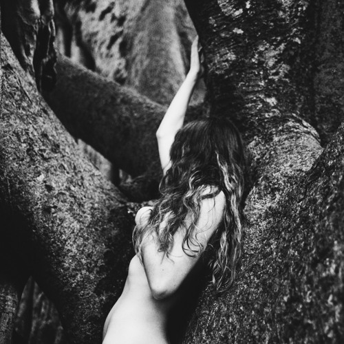 Tree To Leaf