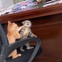 my pain is love for evermore...