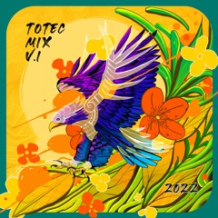 Totec V1 Spring 2022