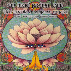 Aum Mani Padme Hum (feat. Martyn Zij & Fenna Mara)