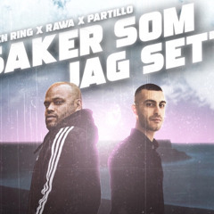 Ken Ring - Saker som jag sett