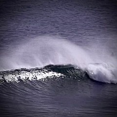 Foam Flower (Instrumental)