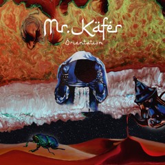 Mr. Käfer - Broken Tea Pots