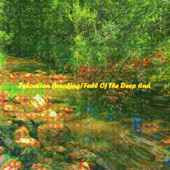 Fall Off The Deep End