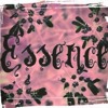 Wizkid Ft Tems - Essence (Dani - B Freestyle Cover)