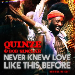 QUINZE, Bob Sinclar - Never Knew Love Like This Before - (RUMMOLINO Edit)