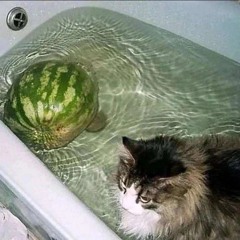 cupsize_x_severlisais - на её лице :с