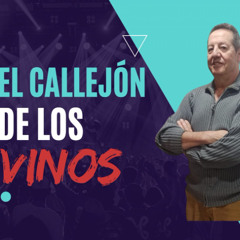 El Callejon del Vino Programa 15 Bodegas Muñoz