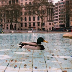 Heartbeat - Misprinted Lines- Olivia RA Remix