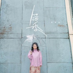 错季 (DJ名龙版)