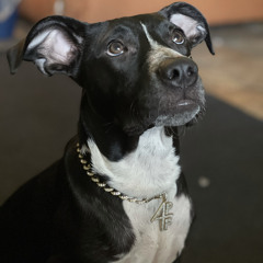 Lil’Baby - My Apologies / Trippin (feat. Stonerr)