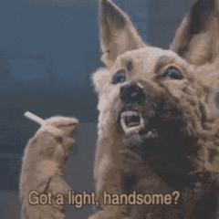 Big Dawg Status Freestyle