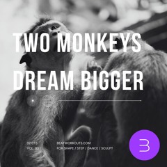 FITNESS MIX #3 - TWO MONKEYS DREAM BIGGER - 32CTS MIX FOR SHAPE / AEROBIC / STEP AND MORE