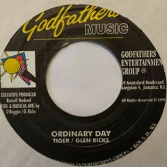 Tiger & Glen Ricks - Ordinary Day (NK Edit)
