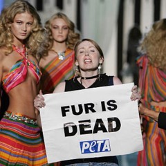 ROBERTO CAVALLI RTW Spring Summer 2006