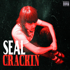 Seal Crackin