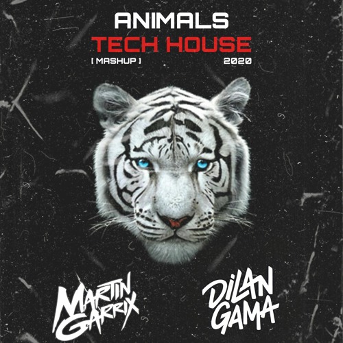 Stream Martin Garrix Animals Tech House Mashup 2020 [ Dilan Gama ] by Dilan  Gama | Listen online for free on SoundCloud