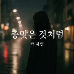 [Cover] 총맞은 것처럼 – 백지영