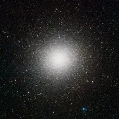 Conchiglie - Andrea Laszlo De Simone Non ti sei fatto male