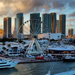 Best Things To Do In North Miami Tours Reviews