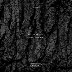 The Fabric of Reality - Paranoia Mental (Previews) / [EMRL026]