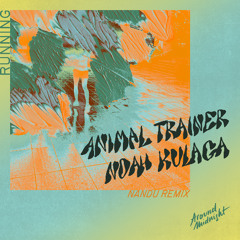 Running (Nandu Remix) [Around Midnight]