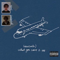 What You Came 2 See (Aeroporto) [Prod. gonsalocomc]
