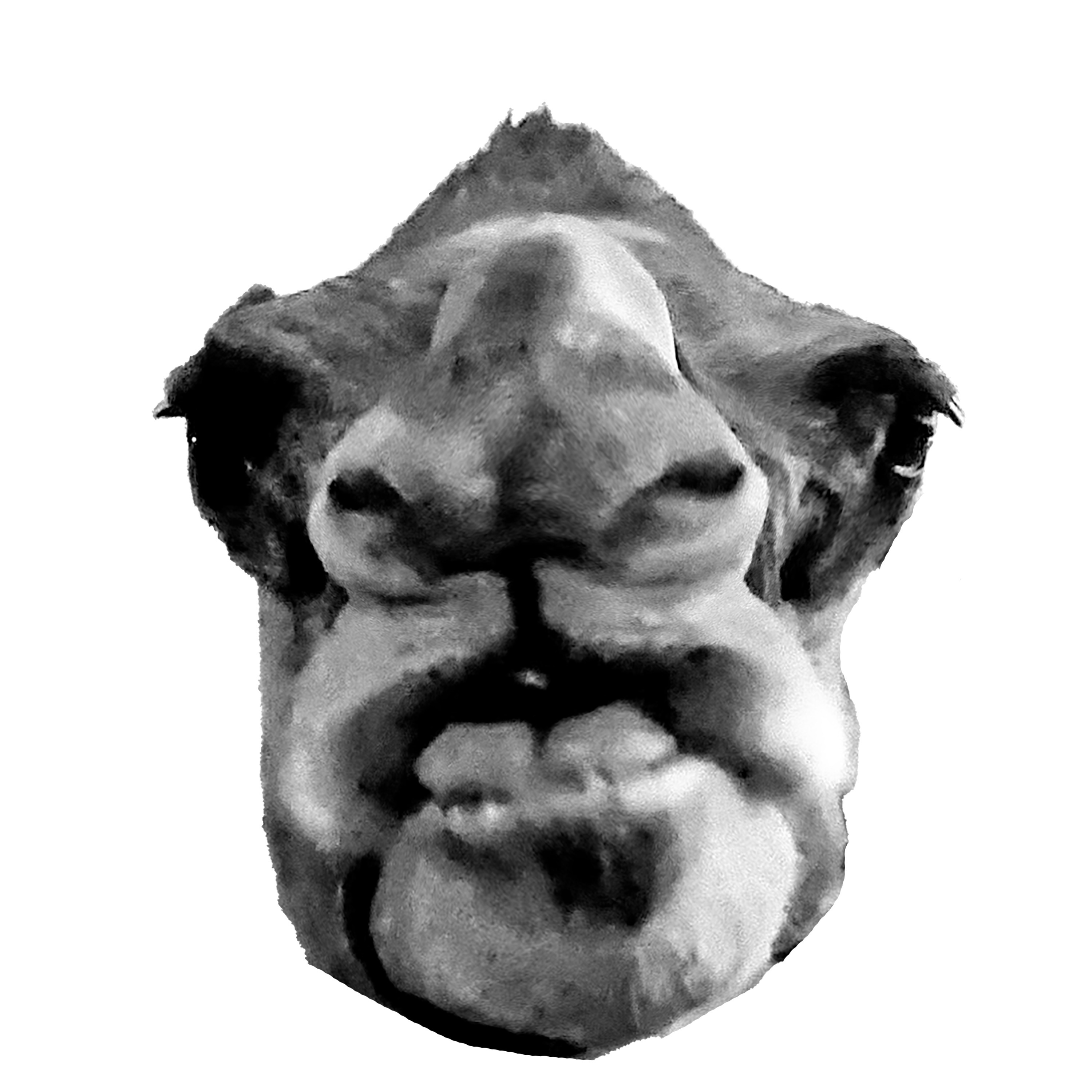 Toktok Records