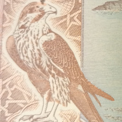 Falcon