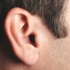 Bb Dishwasher Pluck Audio