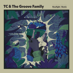 TC & the Groove Family featuring Pariss Elektra - Bossfight (Blue Lab Beats Remix)