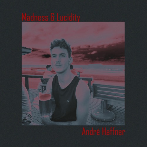 Stream Madness and Lucidity by André Haffner | Listen online for free on  SoundCloud