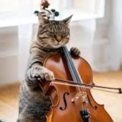 Square Wave 25 - Live Modular with Cello by Jostijn (Good part starts 5 minutes in)