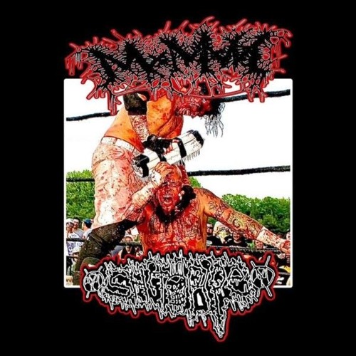 MxMxM⧸ShitPipe (Full Split)(2024) (Mincegore⧸Mincecore)