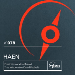 PREMIERE: Haen & David Podhel - True Wisdom