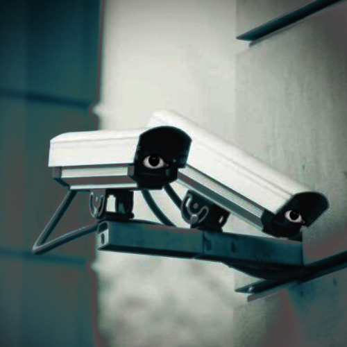 survailance