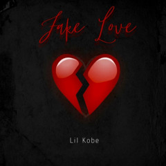 Fake Love