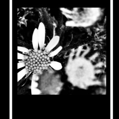 Movement #1