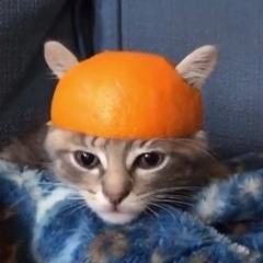 Michal Hrůza - Zakázané uvolnění (sped up + pitch)