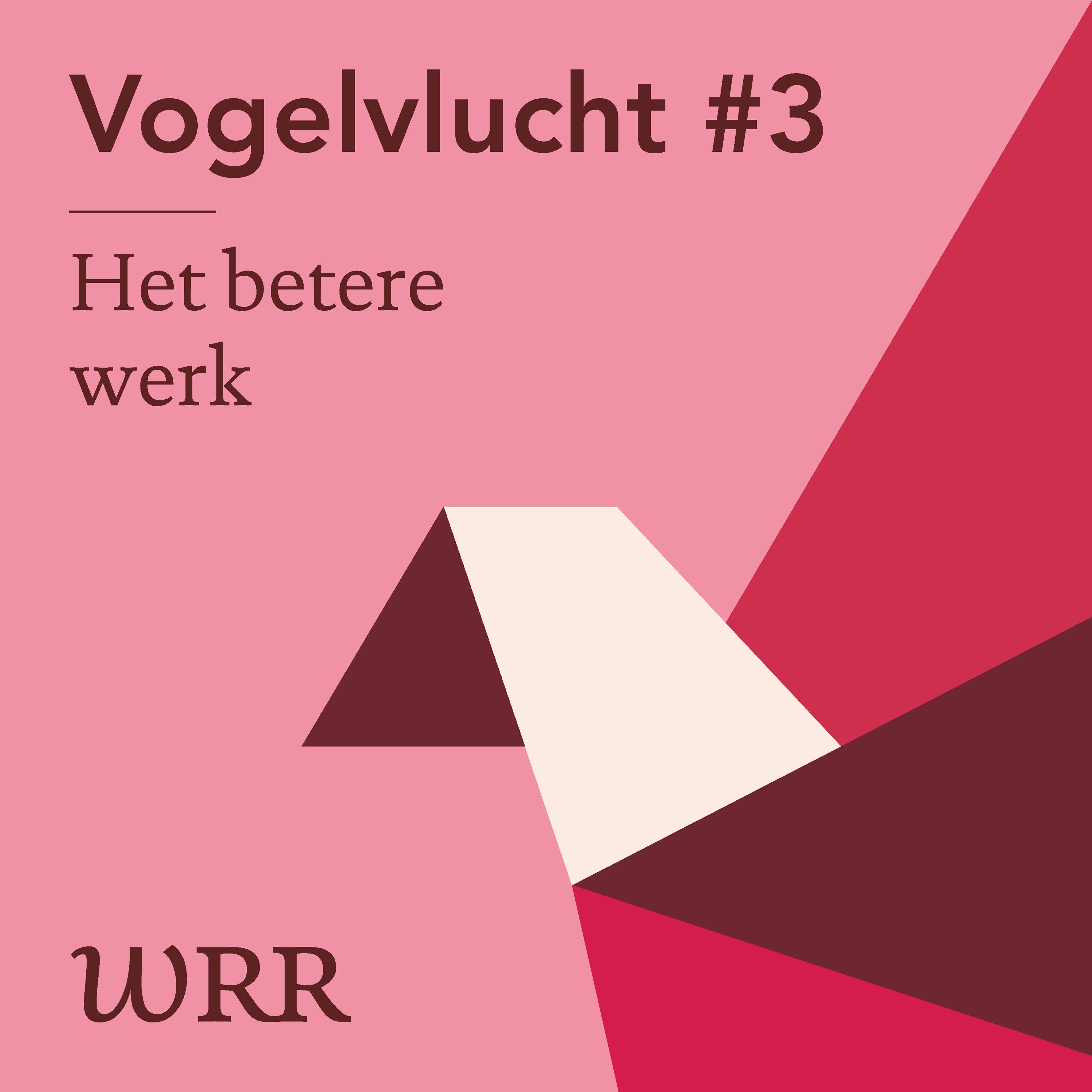 Vogelvlucht #3 'Het betere werk'