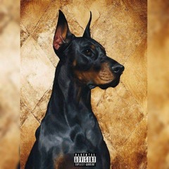 DOBERMAN (Prod.GRiMM Doza)