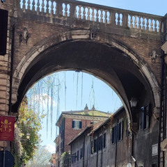 for you (more elegance)