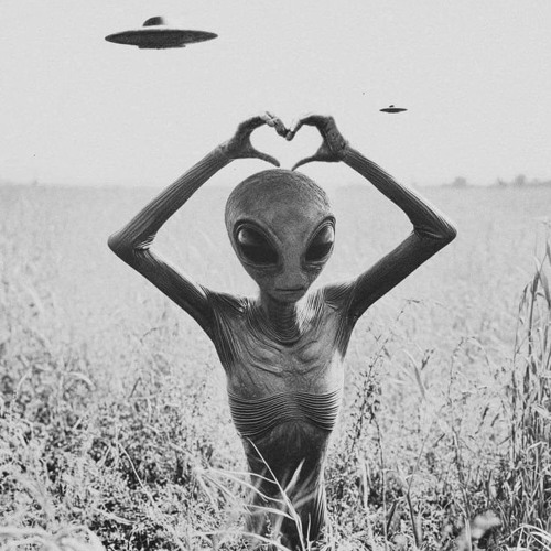 CHASING THE MOON ( Khoir WiraWinata ) - RODRIJAY