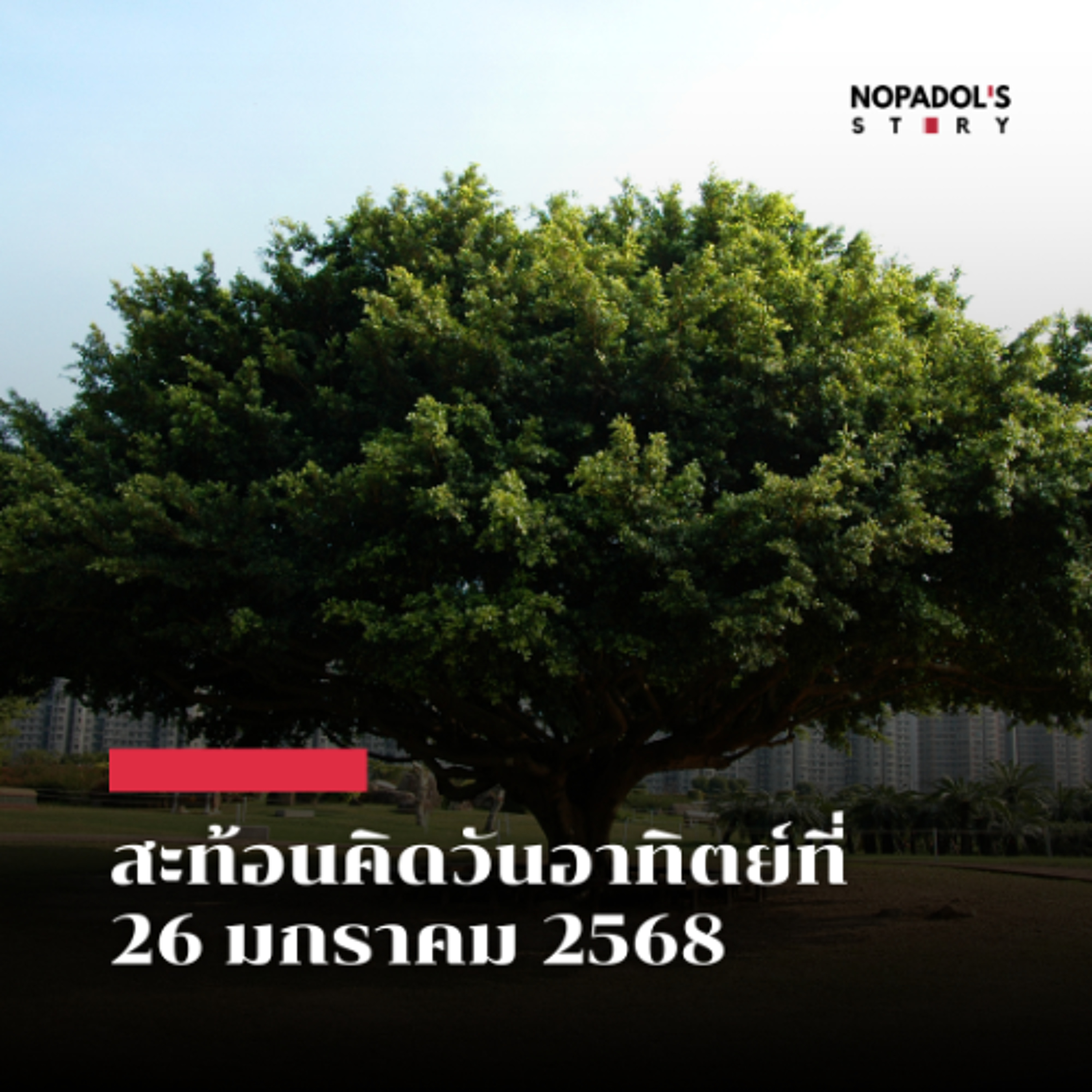 Nopadol\'s Story