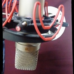 DEMO PERIFONEO SPOTS MAYO 1 - 24