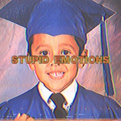 stupid emotions