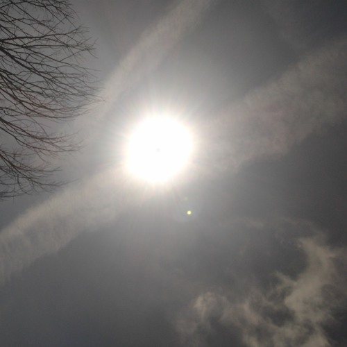 Hardcore's Here To Stay