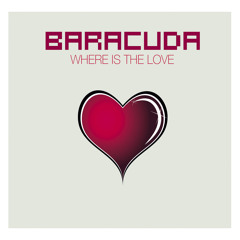 Where Is The Love (Cc.K Remix)