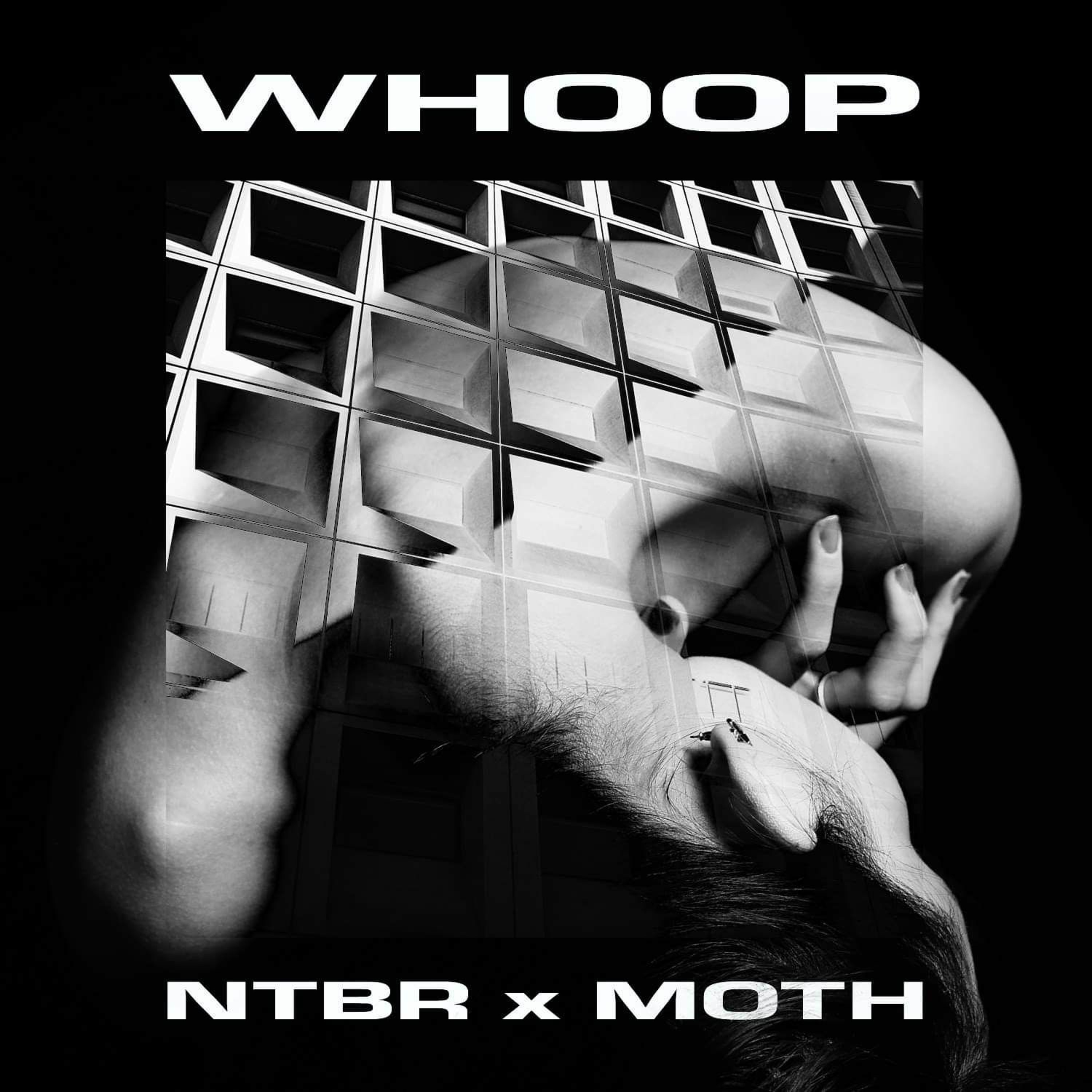 NTBR